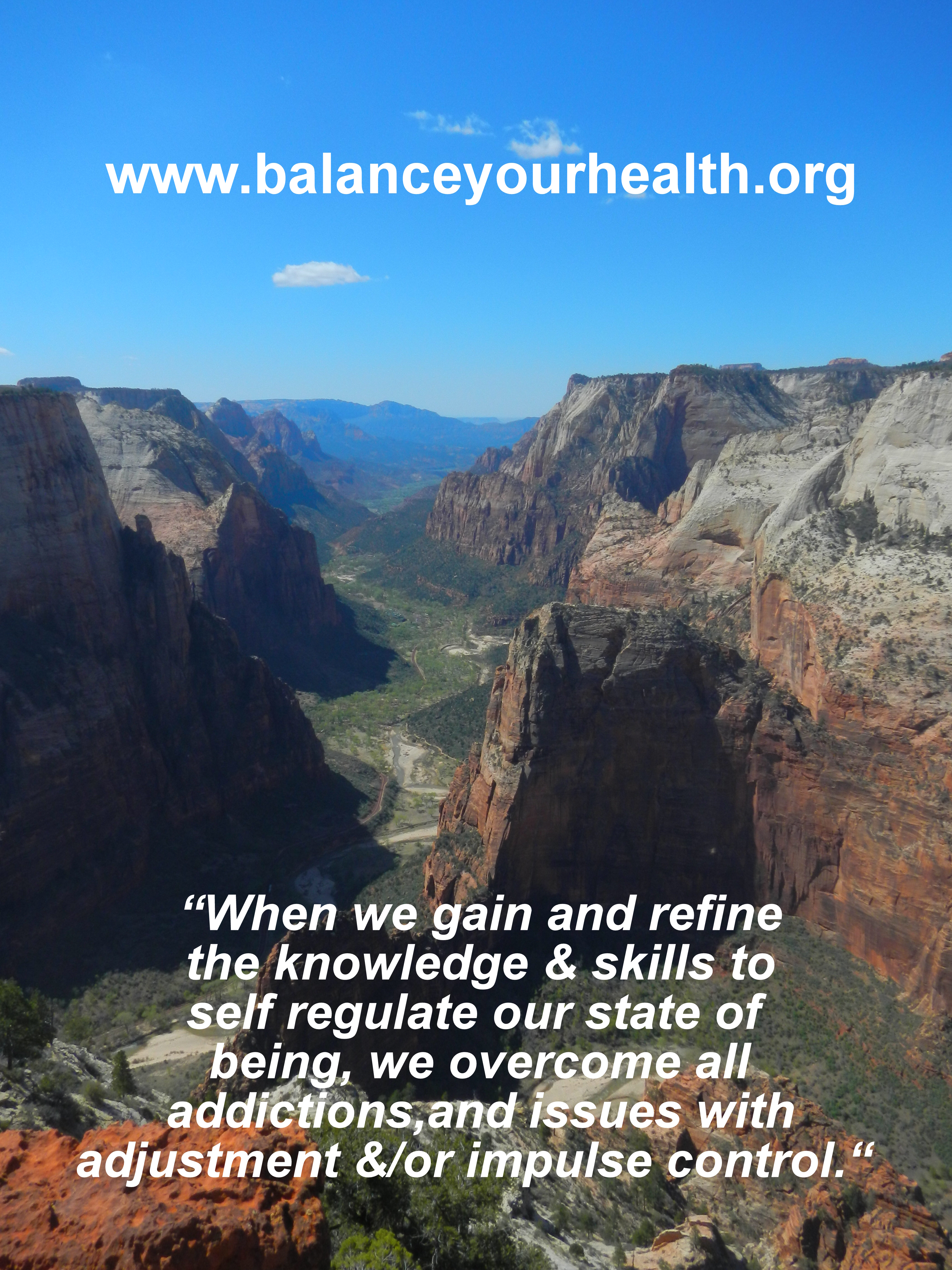 Self Regulation